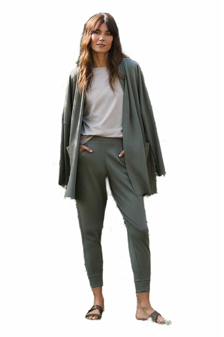 Everyday Airplane Joggers, Alternate, color, Castor Grey