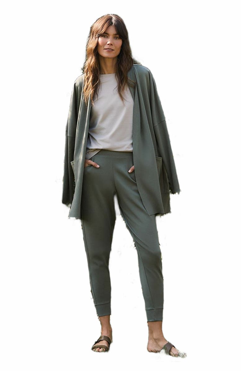 Pact Everyday Airplane Joggers, Alternate, color, Castor Grey