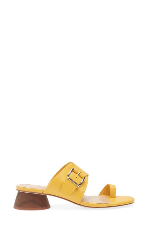 Vince Camuto Lenqua Toe Loop Block Heel Sandal In Yellow