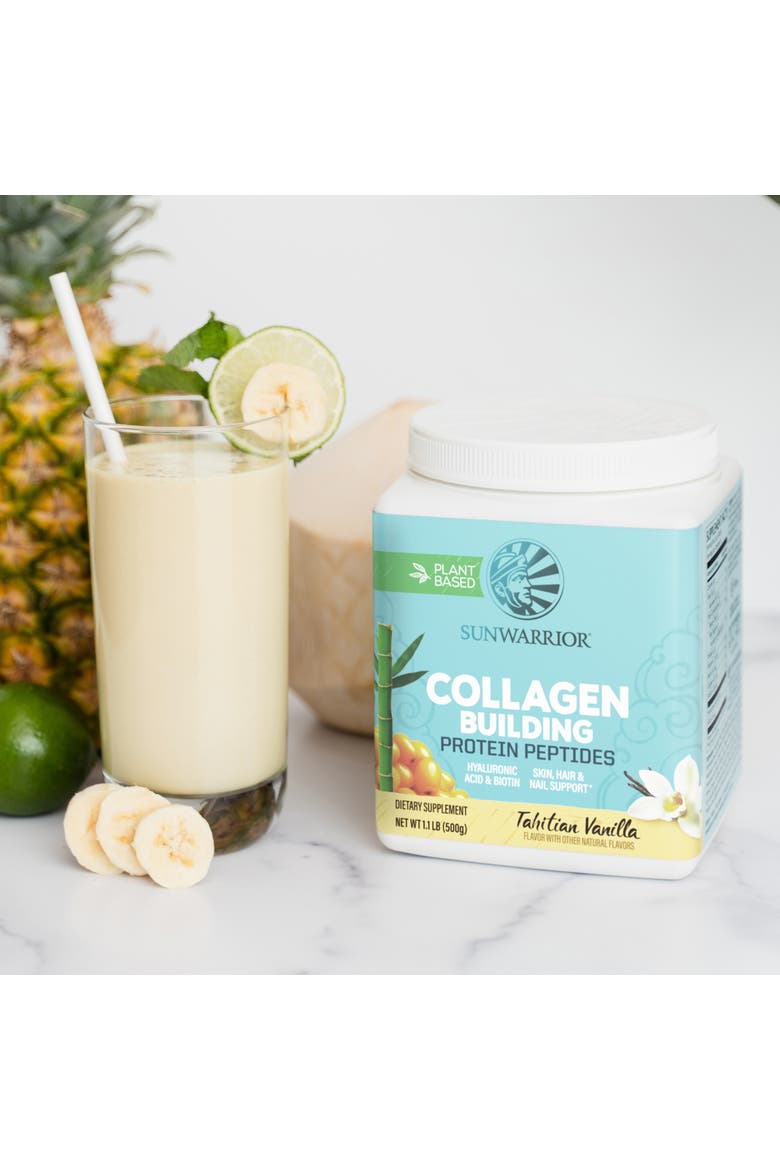 Collagen Building Protein Peptides Powder, Vanilla, 500gm, Alternate, color, No Color