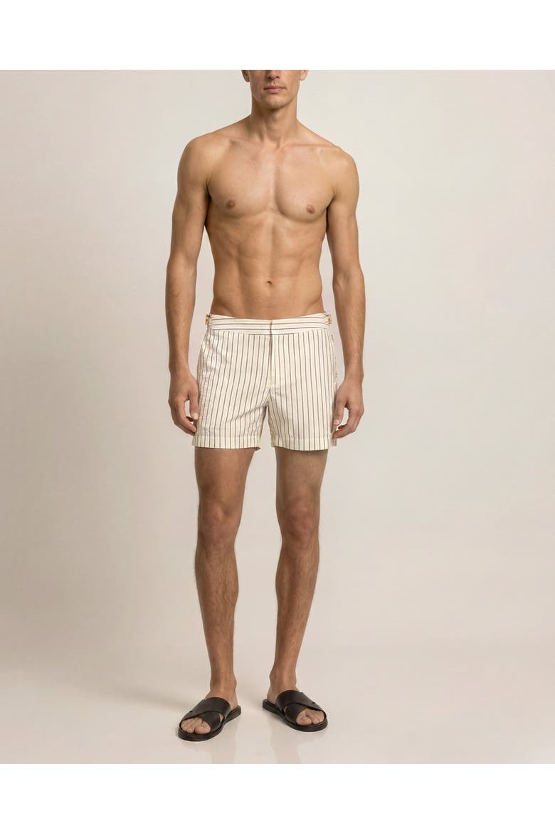 Setter Seersucker Shorter Length Tailored  Swim Shorts, Main, color, LATTE