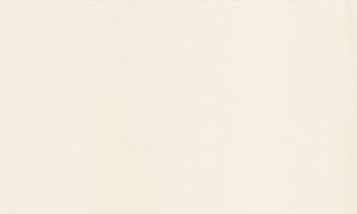 Twp Jennys Gown Shirtdress In Neutral