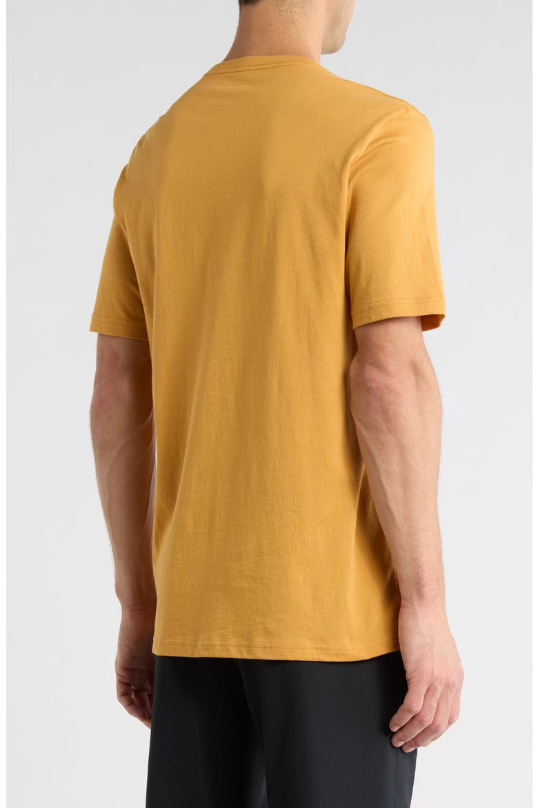 Cotton T-Shirt, Alternate, color, SPRUCE YELLOW