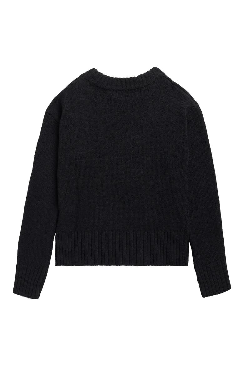 Kids' Swan Print Pullover Sweater, Alternate, color, BLACK
