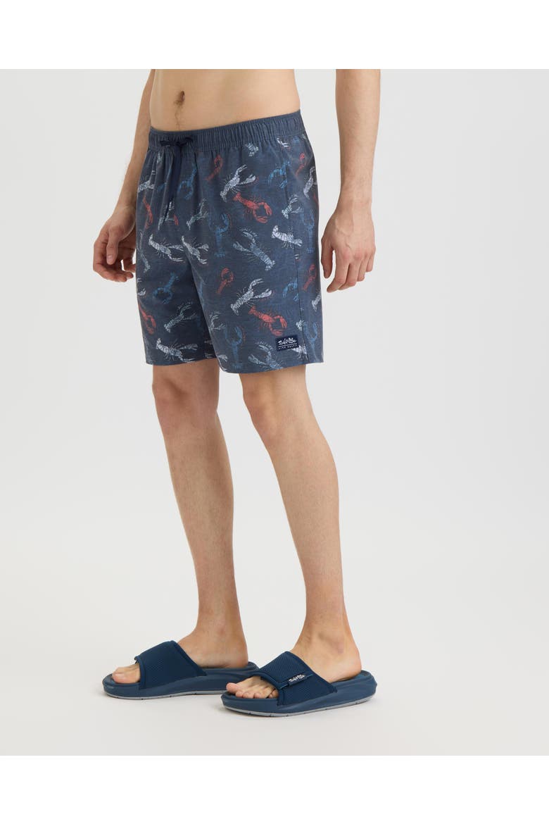 Harbor Claws Printed Volley Boardshorts, Alternate, color, New Navy