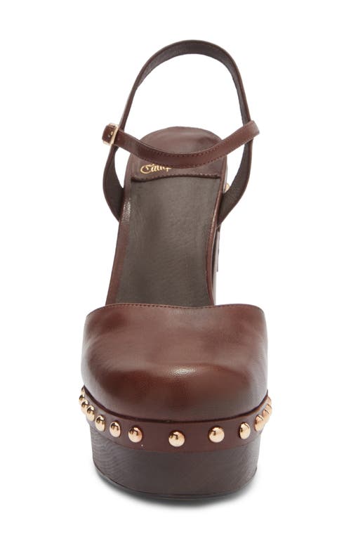 Jeffrey Campbell Extrovert Studded Ankle Strap Platform Clog In Brown