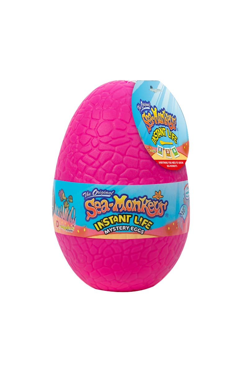 Schylling Seamonkey Mystery Eggs Instant Pet Set, Alternate, color, Multicolored