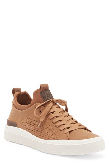 Steve Madden Pyper Sneaker In Tan