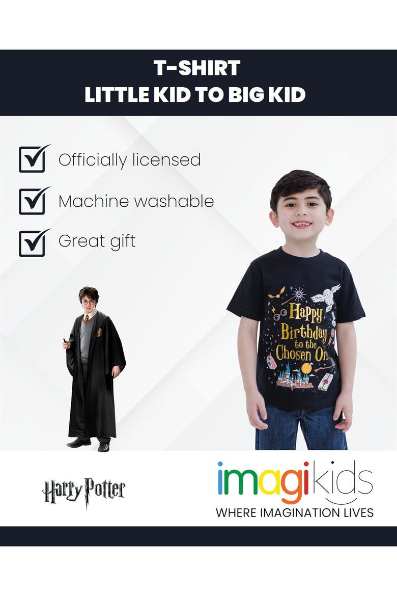 Birthday T-Shirt, Alternate, color, Hedwig Black Gold