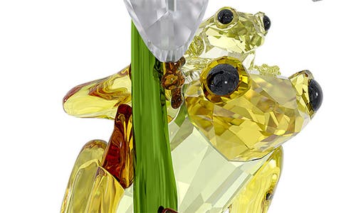Swarovski Idyllia Frogs & Flower Crystal Figurine In Multi
