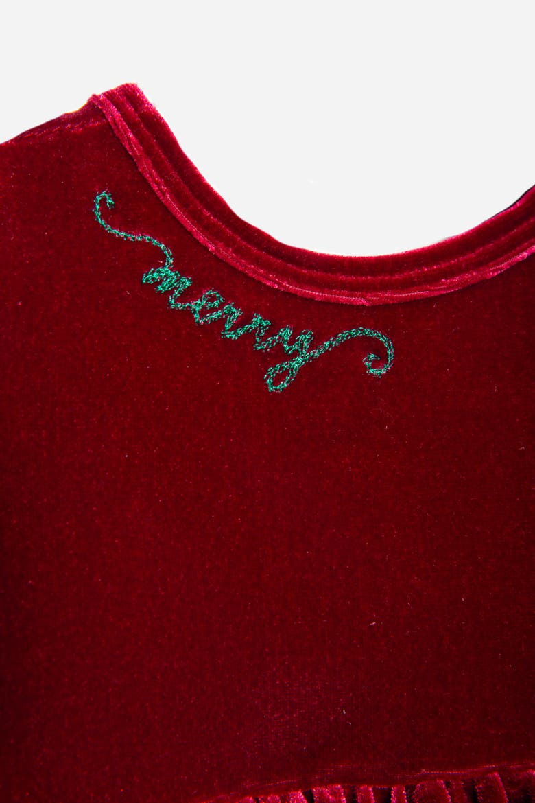 Embroidered Velvet Holiday Twirly Dress, Alternate, color, Burgundy