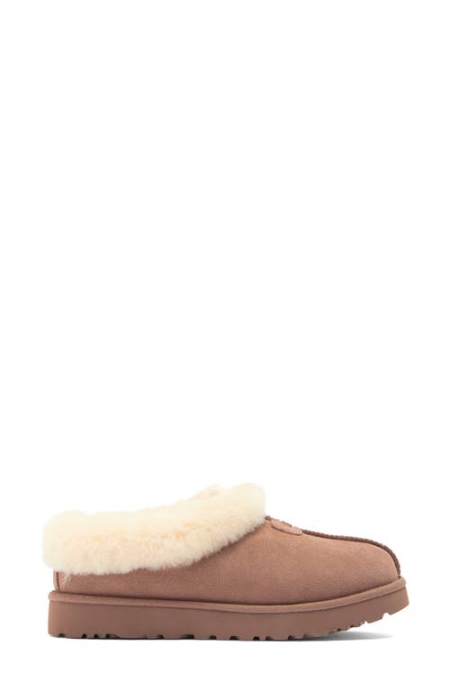Ugg(r) Tazzette Genuine Shearling Collar Slipper