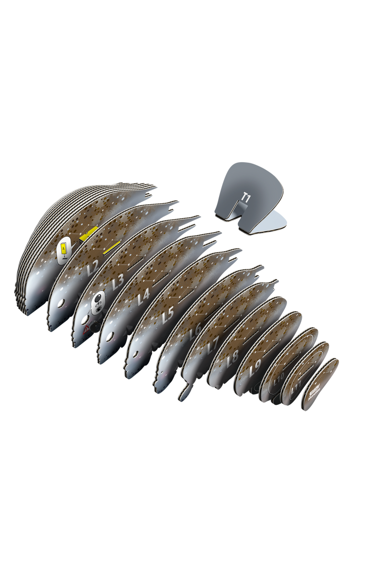 Manatee 3D Puzzle, Alternate, color, No Color