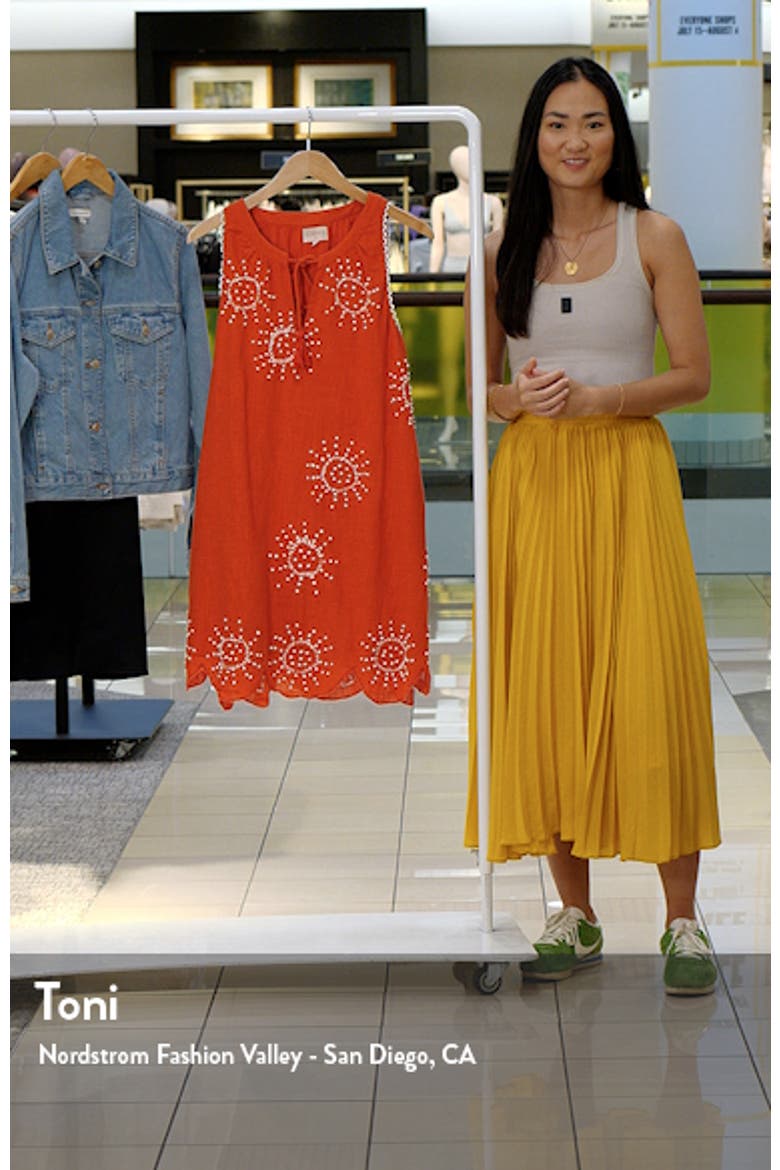 Kailani Embroidered Sleeveless A-Line Dress video