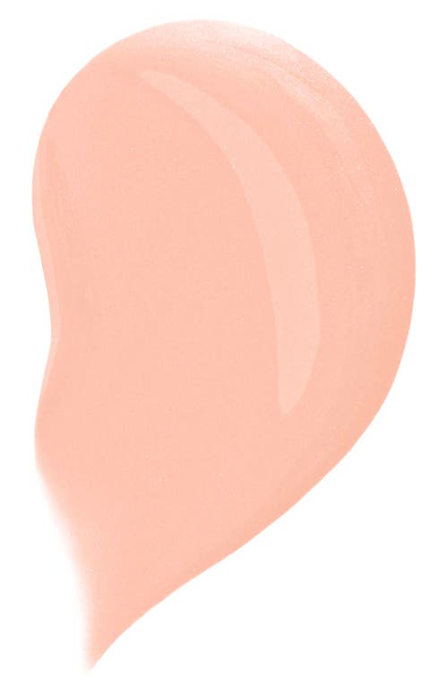 Dolce & Gabbana Dolce&gabbana The Blueberry Nutri-tint Skin Tint