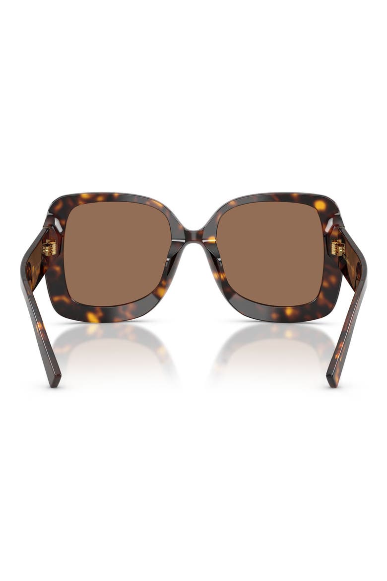 55mm Square Sunglasses, Alternate, color, HAVANA / DARK BROWN