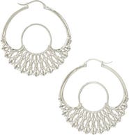 Astor & Orion Iris Hoops
