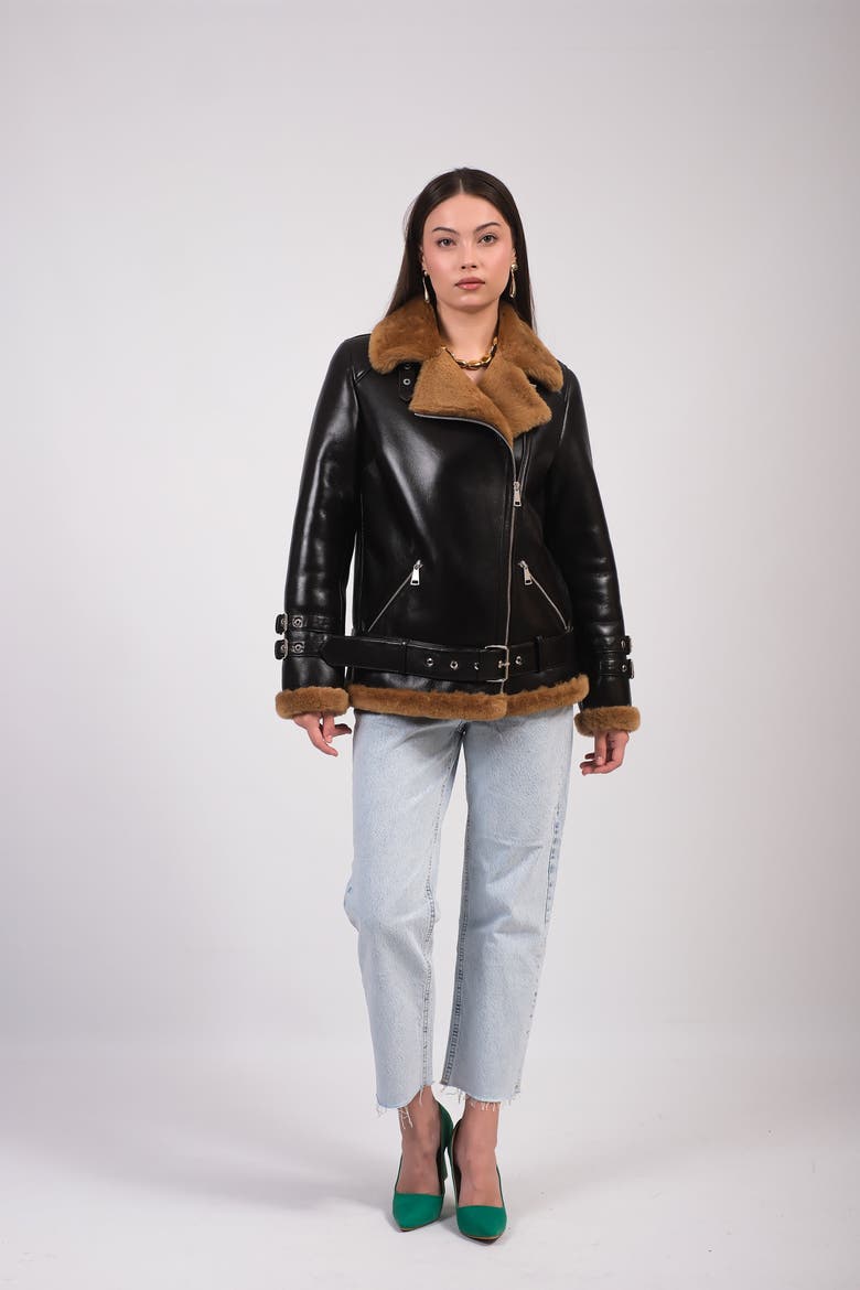 Shearling Aviator Jacket, Alternate, color, Brown