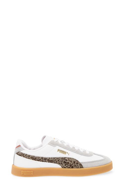 Puma Club Ii Era Sneaker In Multi