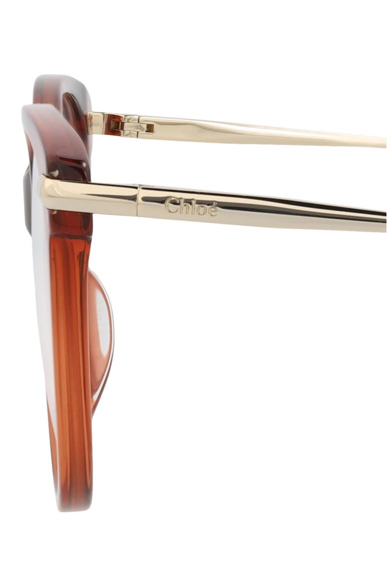 53mm Round Optical Frames, Alternate, color, BROWN GOLD TRANSPARENT