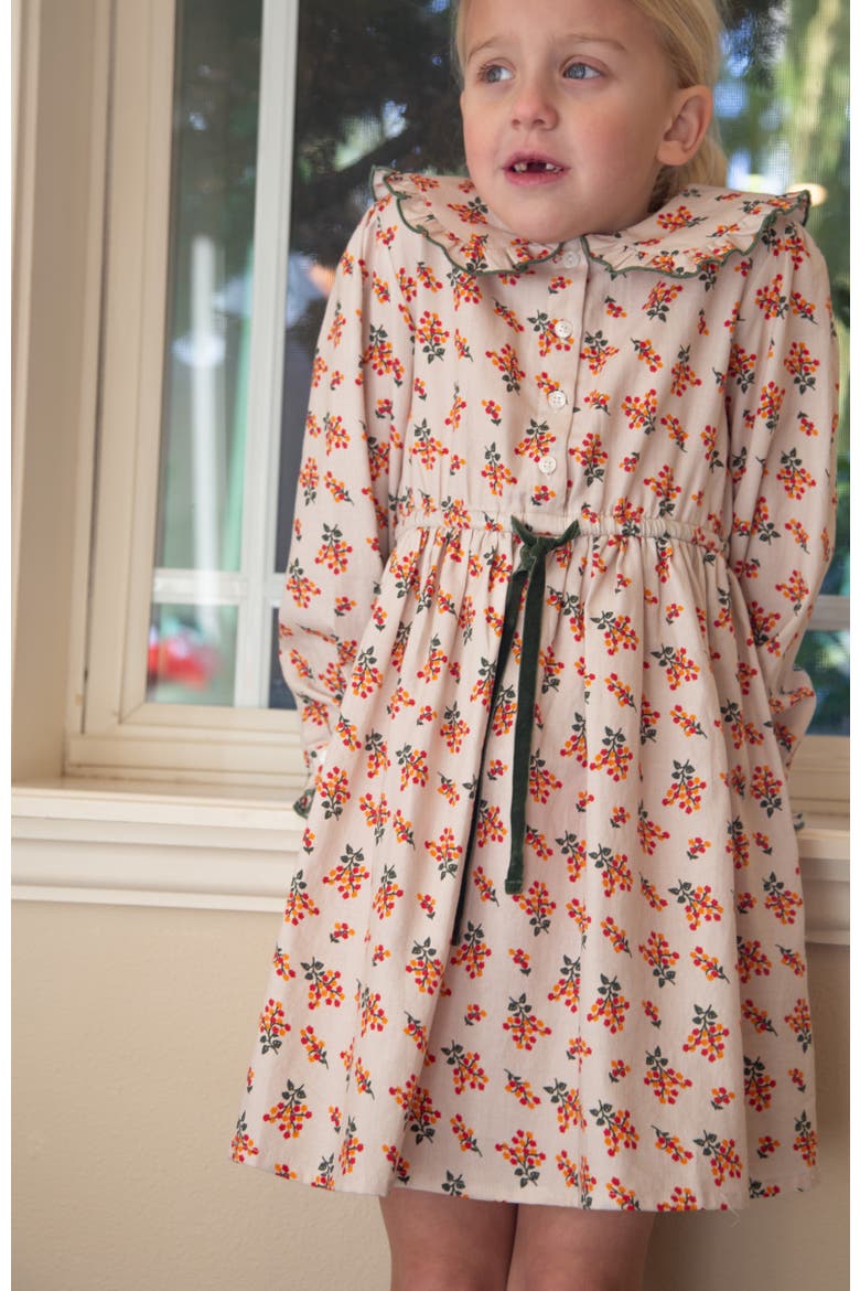 Little Kid Adelaide Velvet Tie Dress, Alternate, color, Autumn Floral