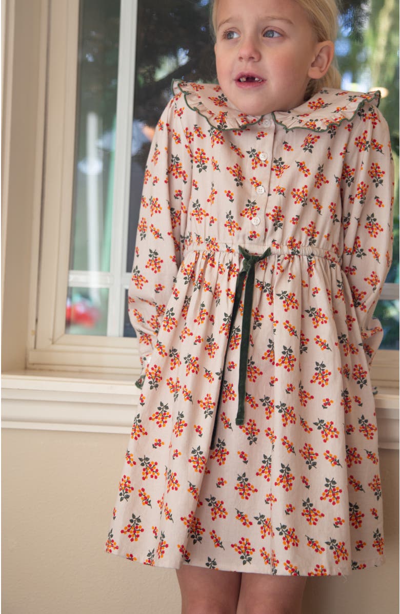 Beet World Little Kid Adelaide Velvet Tie Dress, Alternate, color, Autumn Floral
