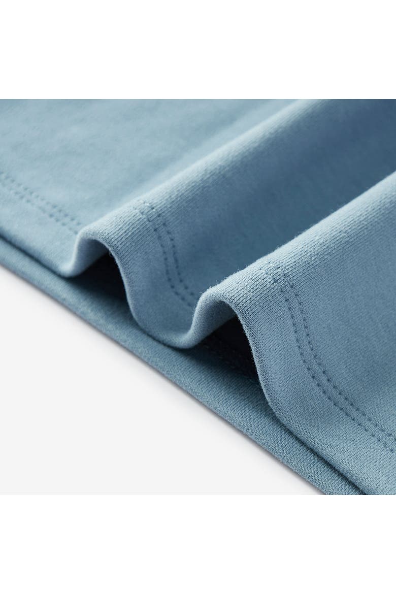 Brushed Long Sleeve T-Shirt, Alternate, color, Stone
