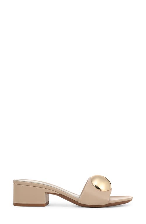 SARTO BY FRANCO SARTO SARTO BY FRANCO SARTO NIKA SLIDE SANDAL