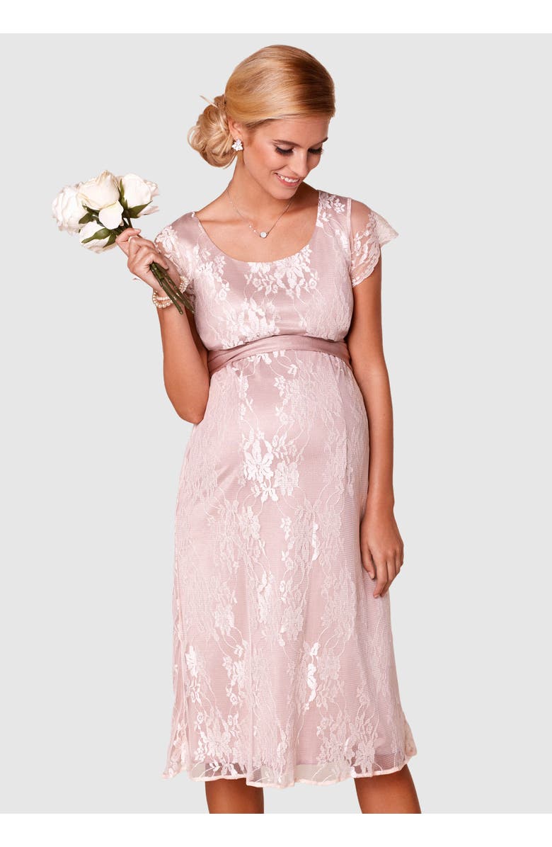 Tiffany Rose Maternity April Nursing Dress, Main, color,