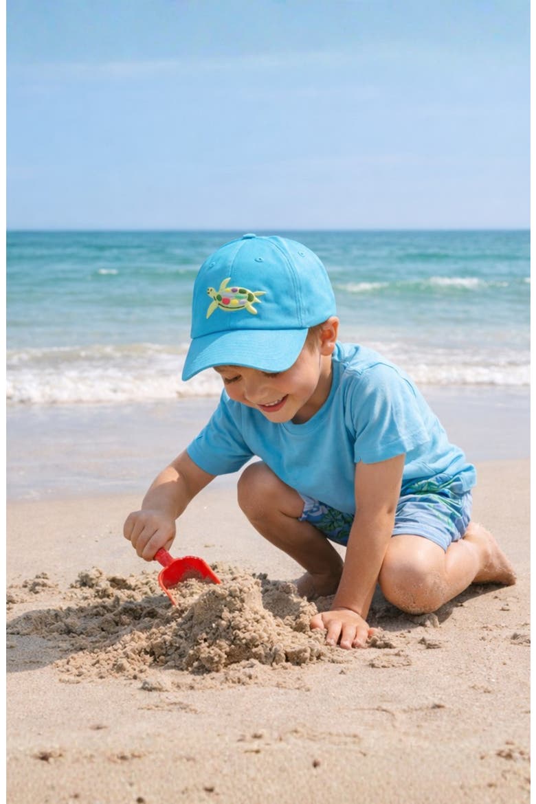 Sea Turtle Baseball Hat, Alternate, color, Aqua