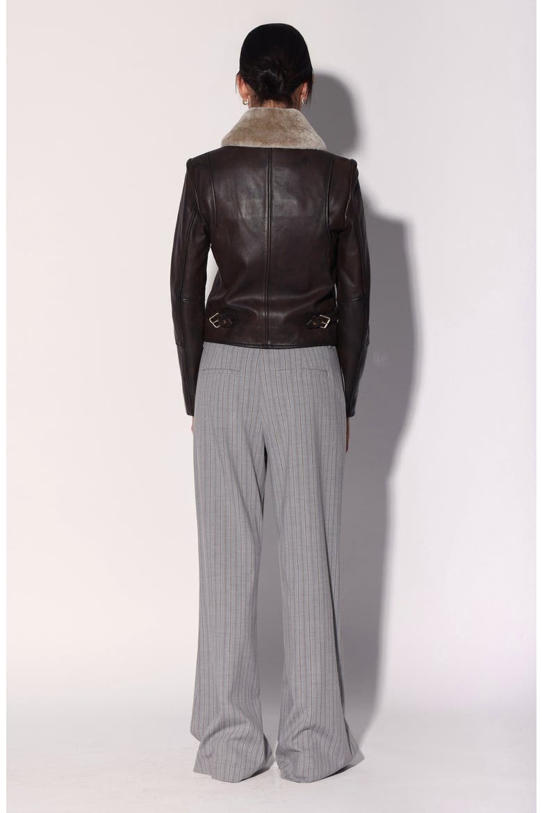 Liza Leather Fur Jacket, Alternate, color, Brown