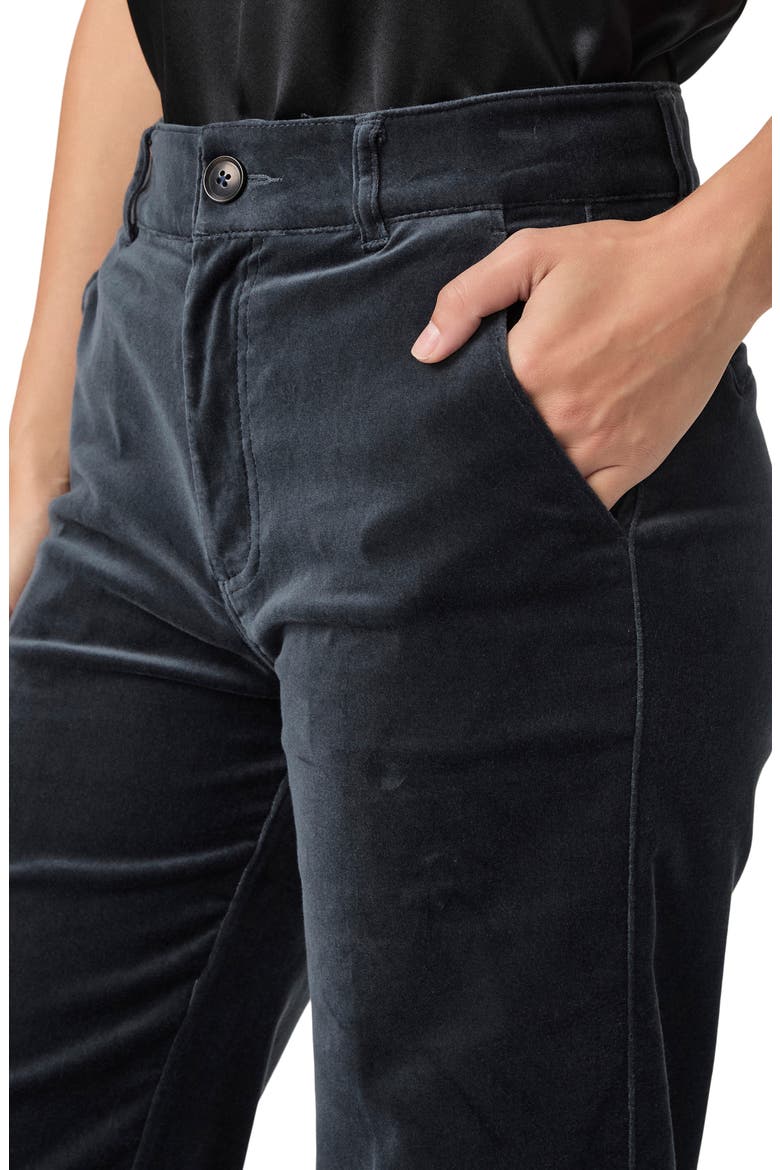 Sasha Straight Leg Velvet Pants, Alternate, color, CALICO BLUE