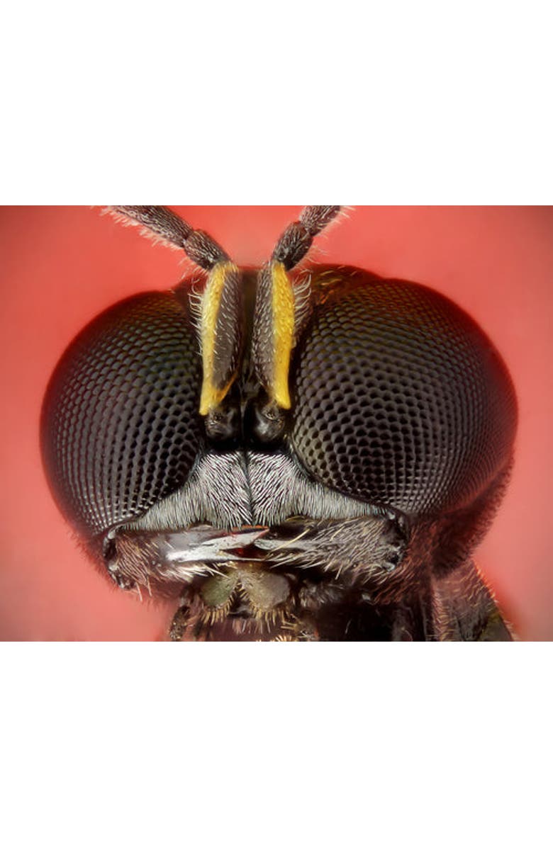 VULIWEAR Vamp Polarized Sunglasses, Alternate, color, Black