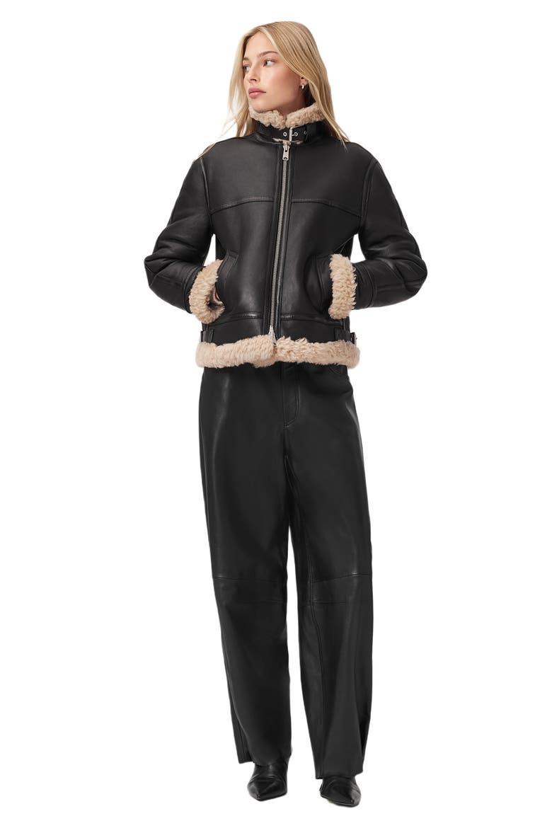 Lorel Leather & Genuine Shearling Flying Jacket, Alternate, color, BLACK/ NATURAL
