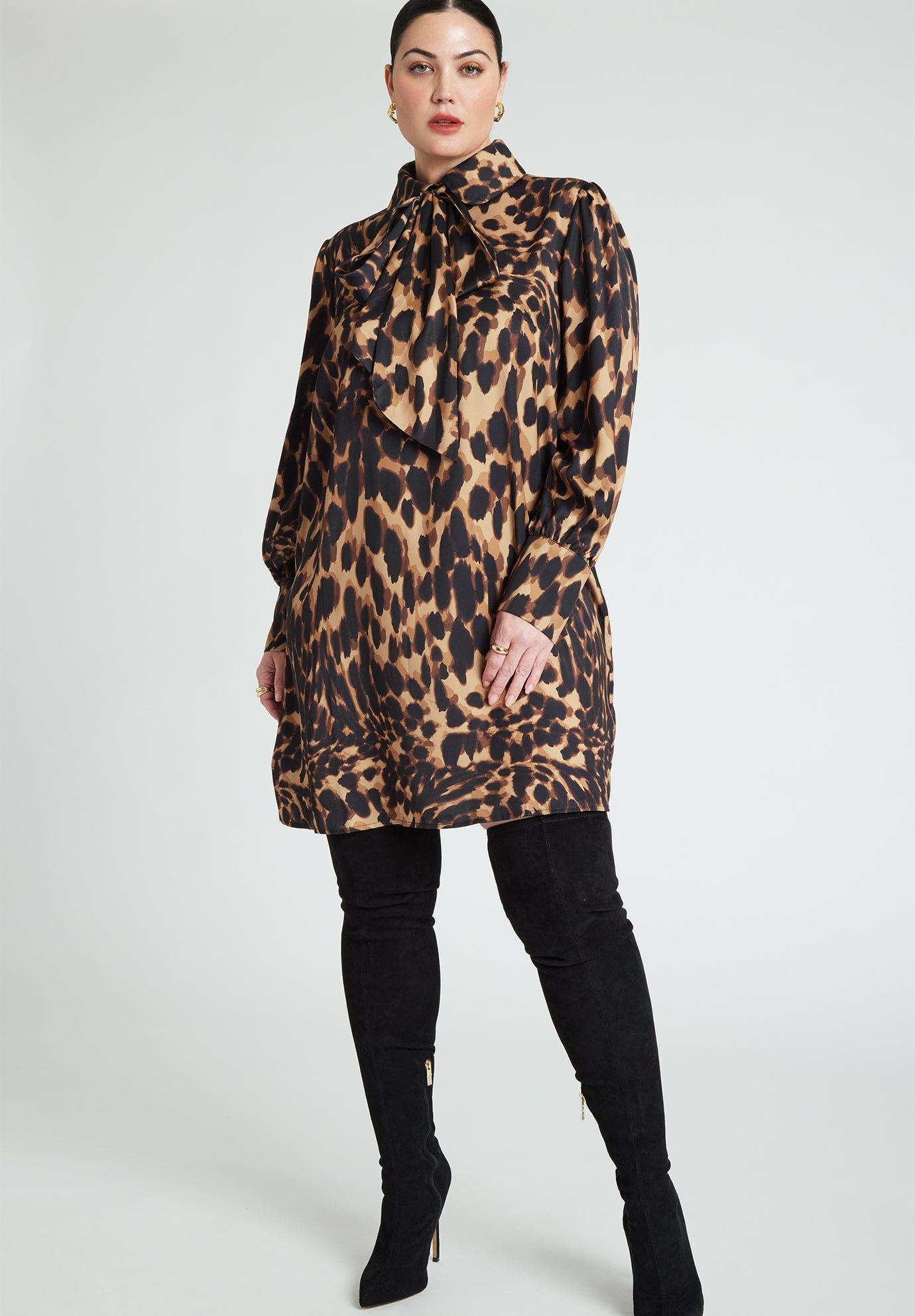 selected LATE NIGHT LEOPARD