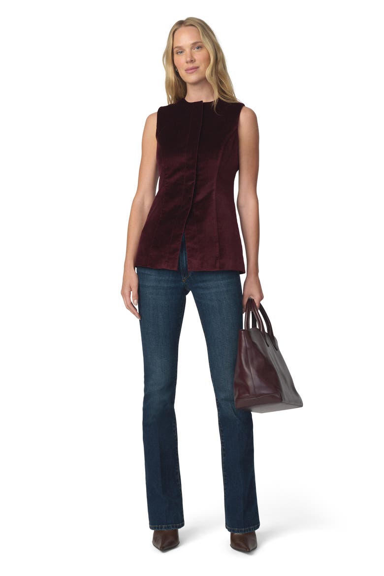 The Velveteen Sleeveless Tunic Top, Alternate, color, CABERNET