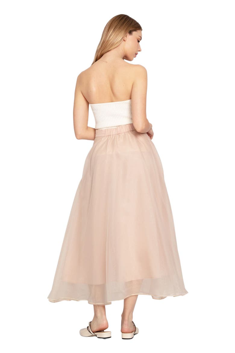 Make My Dreams Ballet Skirt, Alternate, color, Dusty Rose