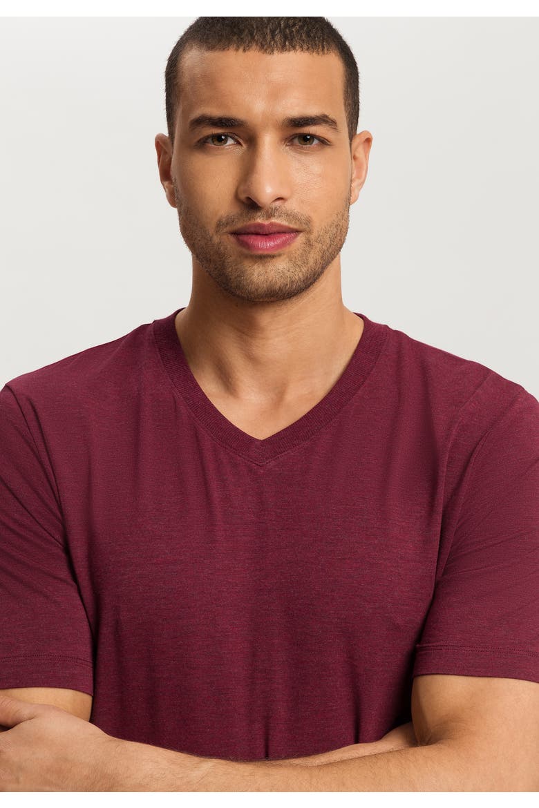 Casuals Soft V-Neck T-Shirt, Alternate, color, Cabernet Melange