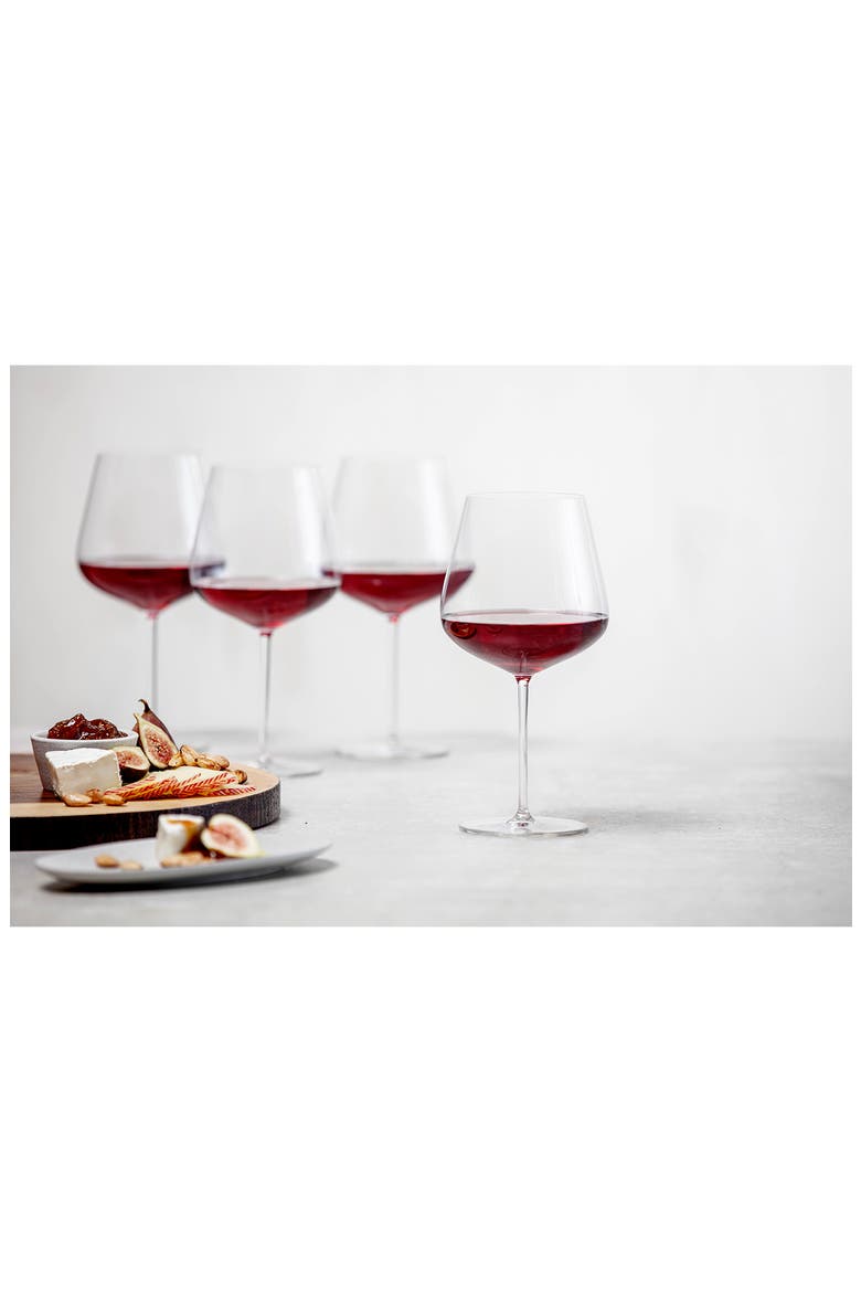 Schott Zwiesel Vervino Set of 6 Burgundy Wine Glasses, Alternate, color, CLEAR