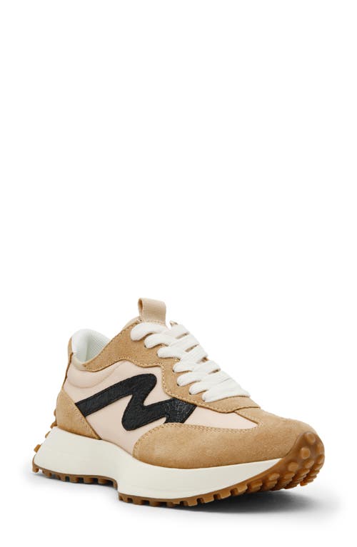 Steve Madden Campo Sneaker In Tan/black