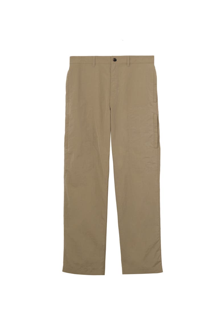 Nylon Cargo Trousers, Alternate, color, Finch brown