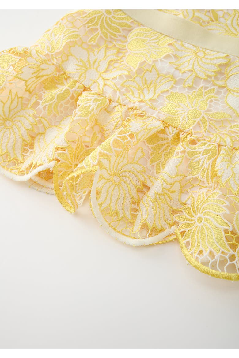 Cassandra Embroidered Mini Dress, Alternate, color, Yellow
