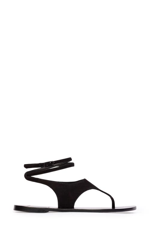 Black Suede Studio Suede Thong Flat Ankle-strap Sandals In Black Suede