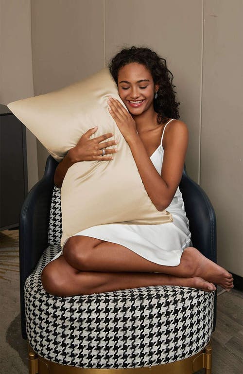 Silksilky 22momme 100% Mulberry Silk Envelope Pillowcase