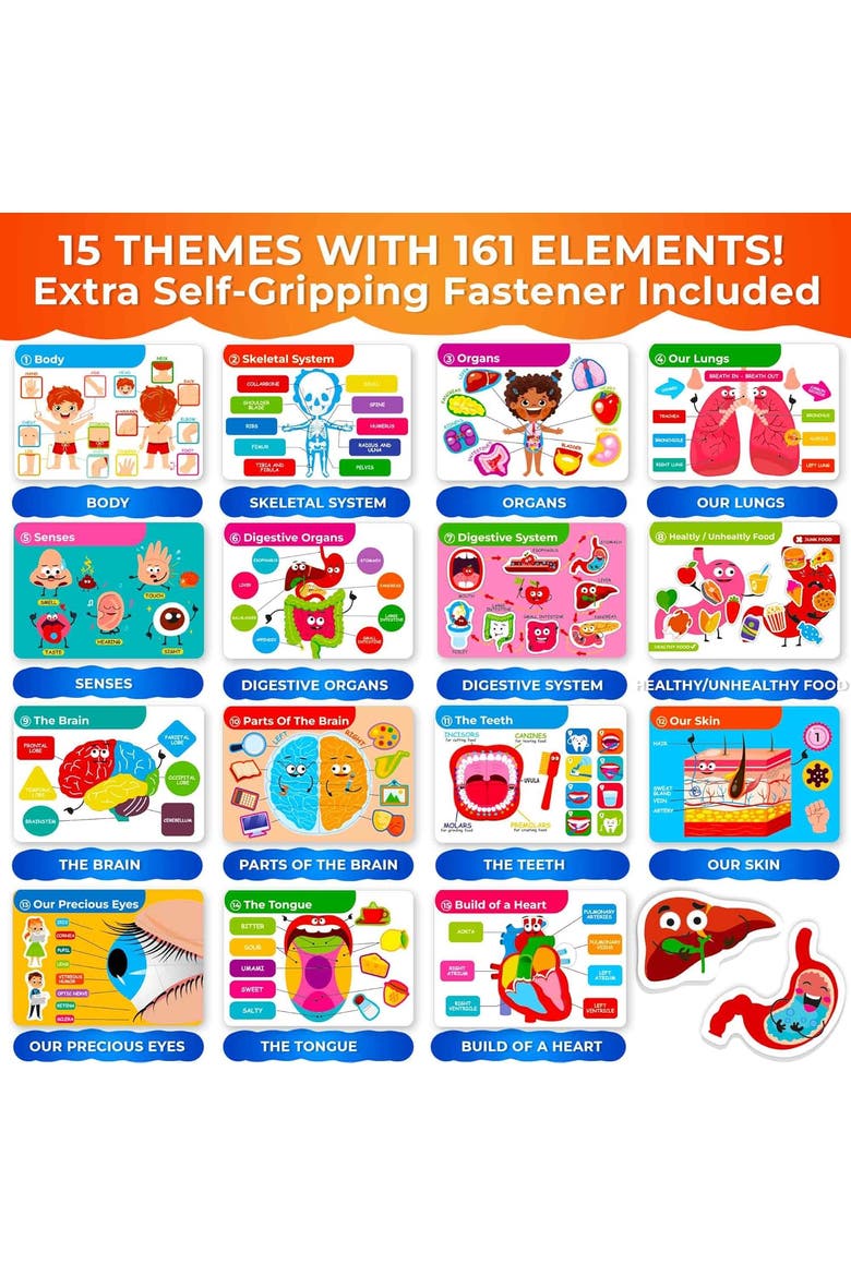 Montessori Busy Book for Toddlers - Interactive Educational Toys, Alternate, color, Our body