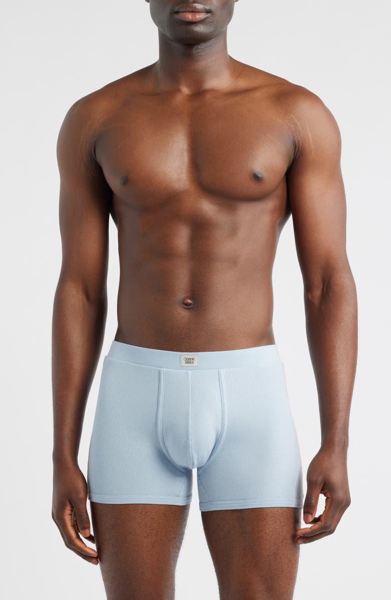 Organic Basics Icon 3-Pack Rib Stretch Cotton Trunks, Main, color, Grey / Cloudy Blue / Walnut