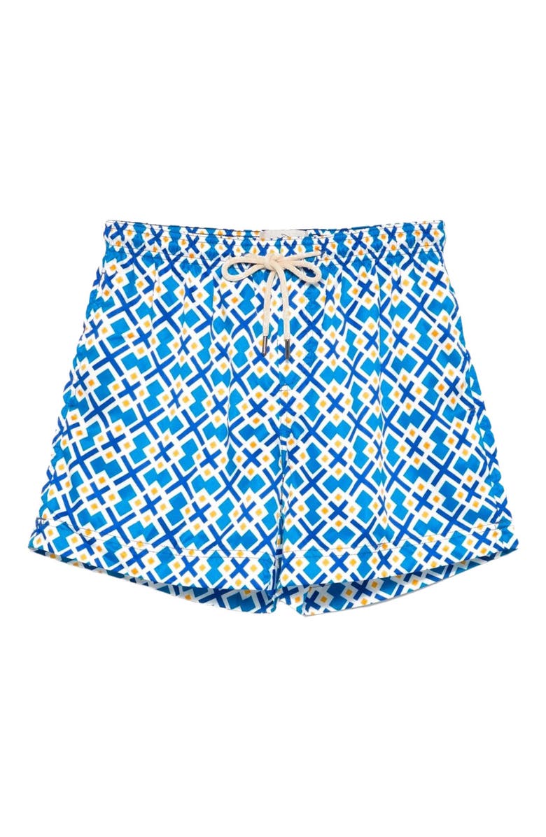 Peninsula Swimwear Fontanelle Swim Shorts, Main, color, Multicolor