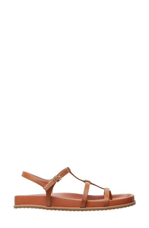 LINEA PAOLO LINEA PAOLO LILITH ANKLE STRAP SANDAL