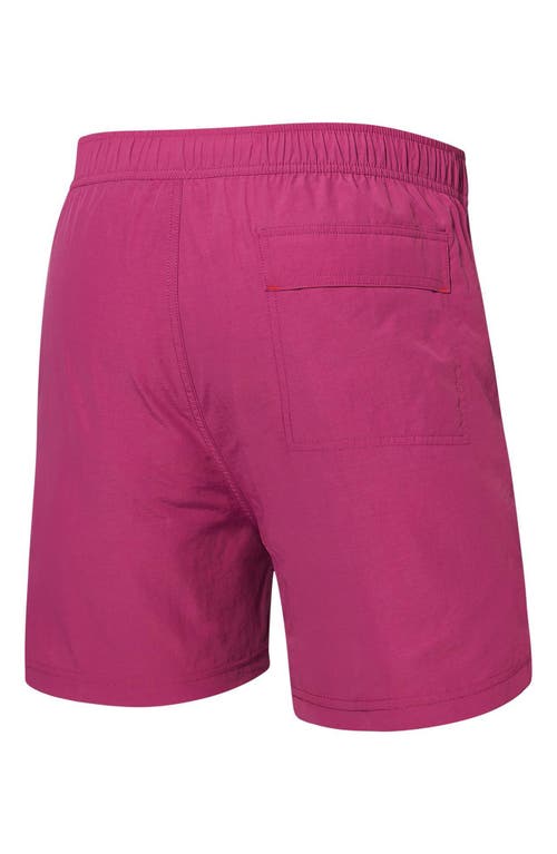 Saxx Go Coastal 2-in-1 Volley Swim Shorts In Magenta
