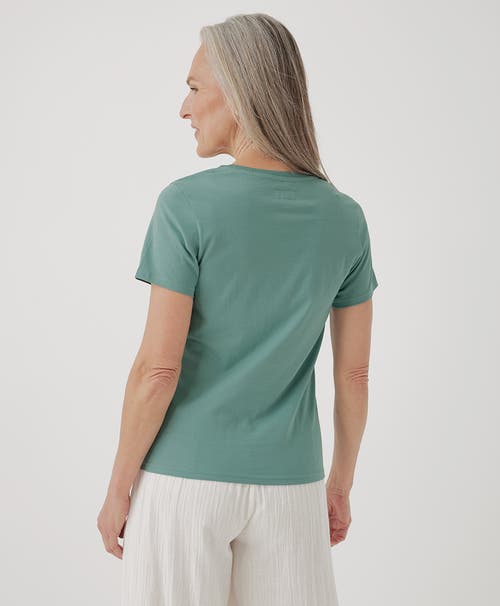 Pact Organic Cotton Softspun Crew Neck Tee In Green